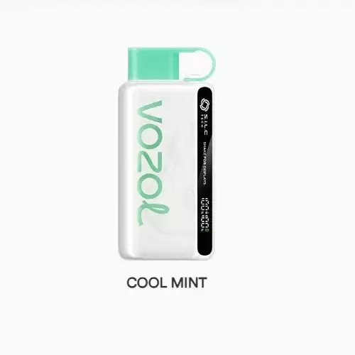 VOZOL STAR COOL MINT 12000 PUFFS