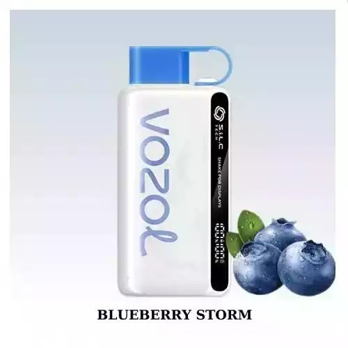 VOZOL STAR blueberry storm 12000 PUFFS