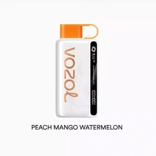 VOZOL STAR PEACH MANGO WATERMELON 12000 PUFFS