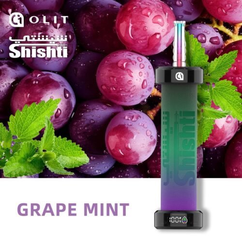 SHISHTI 30K GRAPE MINT 3MG