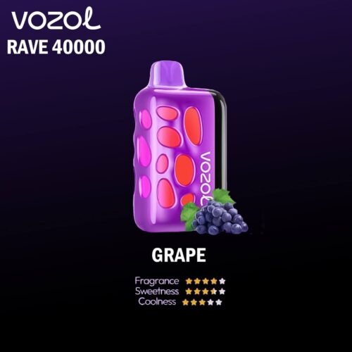 Vozol Rave 40000 Puffs Disposable Pod Kit _ Grape
